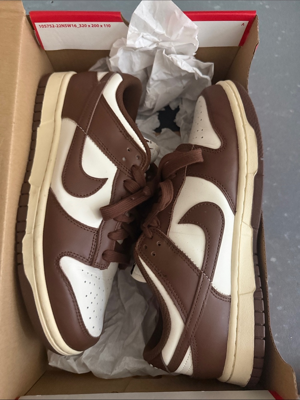 Nike Dunk Low in Brown and Cream